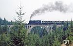 95 1027 mit dem Sonderzug auf dem Finsterer Grund Viadukt zwischen Lichte und Ernstthal. (28.08.1983) <i>Foto: Wolfgang Bügel</i>
