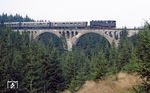 Über Stock und Stein ging es nochmals zum Finsterer Grund Viadukt, wo die Rückfahrt der 95 1027 abgepasst wurde. Wer den Weg noch zu DDR-Zeiten in Erinnerung hat, weiß, dort gab es Achsenbruch inklusive. (28.08.1983) <i>Foto: Wolfgang Bügel</i>