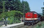 Durch den idyllisch mit Efeu umrankten Haltepunkt von Irfesgrün rollen DR 110 677 und 50 3671 vor Ng 66333 nach Falkenstein. (29.08.1983) <i>Foto: Wolfgang Bügel</i>