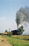 Die Schafe zeigten sich von der schwer arbeiten 50 3671 vor Ng 66333 bei Ellefeld kurz vor Falkenstein/Vogtl. relativ unbeeindruckt. (29.08.1983) <i>Foto: Wolfgang Bügel</i>