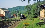 50 3650 (Bw Karl-Marx-Stadt) mit Ng 64325 im Flöhatal bei Reifland, kurz vor Pockau-Lengefeld, wo die letzten Sonnenstrahlen des Tages nicht nur vom Zug genossen werden. (29.08.1983) <i>Foto: Wolfgang Bügel</i>