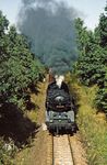 Hinter Mittweida kommt 50 3563 (ex 50 1594) vor Ng 62335 angekachelt. (30.08.1983) <i>Foto: Wolfgang Bügel</i>
