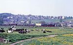 50 3697 mit Ng 65323 bei Rödlitz-Hohndorf auf dem Weg nach Oelsnitz. (16.05.1985) <i>Foto: Wolfgang Bügel</i>
