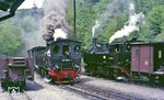 P 69731 (rechts mit 99 5906) wartet im Bahnhof Mägdesprung die Kreuzung des P 14464 nach Harzgerode ab. (19.05.1985) <i>Foto: Wolfgang Bügel</i>