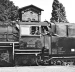 Das zufrieden erscheinende Personal auf der Schweriner 23 1085 (LKM, Baujahr 1959) im Bahnhof Neubrandenburg. (18.08.1966) <i>Foto: Joachim Claus</i>