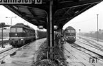 DR 132 509 (Bw Neustrelitz) und 142 005 (rechts) in Stralsund Hbf. (03.03.1979) <i>Foto: Wolfgang Bügel</i>