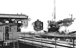 Betriebsalltag im Bw Leipzig Hbf West (Ostseite). Die hier beheimatete 03 202 begibt sich als Rangierfahrt zum Hauptbahnhof, während im Nachbargleis die aus Cottbus gekommene Kohlenstaublok 17 1077 restauriert. (04.08.1956) <i>Foto: Gerhard Illner</i>