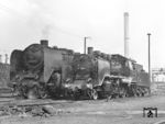 37 1009 (alias 24 009) war vom 01. bis 22. Juni 1972 dem Bw Dresden zugewiesen. Der Zweck dieser kurzfristigen Beheimatung war die Sonderfahrt Dresden - Nossen - Riesa - Oschatz - Priestewitz - Dresden des Deutschen Modellbahn-Verbandes (DMV). Immerhin konnte so die ungewöhnliche Begegnung mit der in Dresden stationierten 01 2137 im ehemaligen Bw Dresden-Altstadt dokumentiert werden. Im Sommer 1972 wurde 37 1009 vom EK erworben und im September 1972 in die BRD überführt. (02.06.1972) <i>Foto: Joachim Claus</i>