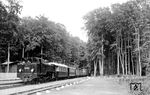 99 322 (Bw Rostock) läuft mit PmG 701 nach Ostseebad Arendsee in den Kreuzungsbahnhof Heiligendamm ein.  (04.07.1933) <i>Foto: DLA Darmstadt (Bellingrodt)</i>