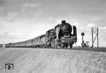 39 208 vom Bw Stuttgart-Rosenstein vor D 14 (Berlin Anh Bf – Halle/S – Erfurt – Würzburg – Stuttgart – Konstanz) nahe Rohr (b Stuttgart).  (1938) <i>Foto: RVM (Ulmer)</i>