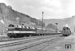 DR 118 131 (Bw Dresden), ursprünglich geliefert als V 200 117 mit Glasfaserkanzel, vor einem Güterzug im deutsch-tschechischen Grenzbahnhof Decin. (06.05.1970) <i>Foto: Joachim Claus</i>