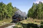 99 782 weilt seit 1984 auf Rügen und trägt heute mit zwei Schwestern die Hauptlast des sommerlichen Verkehrs. Bei Göhren stellt die Strecke keine hohen Anforderungen an Lok und Personal. Das Gelände ist eben und der Lokführer muß nur die Fuhre mit dem geringstmöglichen Schieberkastendruck auf 30 km/h Geschwindigkeit halten. Auch die Steigungen der Granitz – für die kleinen Lokomotiven eine Herausforderung – sind für die Fünfkuppler eher ein Kinderspiel. Beachtlich waren im Göhrener Umlauf die hohen Laufleistungen, mit 250 km an einem Einsatztag für Schmalspurlokomotiven absolute Spitzenwerte. Weil die eigentlich für schwere Züge im Gebirge entwickelten Neubaulokomotiven diese Leistungen ständig mit Höchstgeschwindigkeit erbringen mußten, zählten sie zu den Stammgästen im Raw Görlitz, das alljährlich die verschlissenen Lager und abgefahrenen Radreifen aufarbeiten mußte.  (04.05.1989) <i>Foto: Ludger Kenning</i>