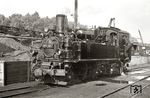 Von der 99 587 auf Rügen existieren zahlreiche Aufnahmen, aber nur wenige zeigen sie mit altem Kessel und Druckluftbremse. Ab 10.7.1963 besaß sie zwar schon die modernere Bremse, aber noch den Originalkessel. Mit der A-förmigen Anordnung der Luftbehälter war sie die einzige Rügener IV K, die beide Versionen besessen hat. Hier steht sie noch mit provisorischen Puffern an der Bekohlung in Putbus, ihre Lichtmaschine sitzt offenbar auf der Lokführerseite. Am Kohlenbansen gibt es eine zweite Möglichkeit zum Wasserfassen. Die Kohle wurde damals schon mit einem Elektrokran geladen, während der handbetriebene Kran fast ungenutzt blieb. Mit einem Förderband wurde die Kohle im Bansen verteilt.  (1963) <i>Foto: Birger Wilcke (Sammlung Ludger Kenning)</i>