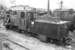 Die 99 4653 abgestellt in Bergen Ost. Der Standardtender der Heeresfeldbahn mit 6,0 cbm Wasservorrat war über ein Kuppeleisen mit Spannschloß, zwei Sicherheitsketten sowie zwei dicken Wasserschläuchen mit der Lok verbunden. Die Möglichkeit, den Kohlenkasten mit Brettern aufzustocken, hatte man einst in Dahme auch genutzt. Die Halterungen für das Aufsatzbrett waren 1966 noch vorhanden. Bei der Heeresfeldbahn hatten zwei Bewacher auf dem Tender einen Sitzplatz in abgeteilten Nischen neben der Kohlenabnahme. Das Führerhaus war über zwei Schiebetüren und Segeltuchvorhänge vor den seitlichen Fensteröffnungen einigermaßen zu verschließen. Durch die offene Tür erkennt man das große Steuerungsrad und schwach das Ventil der Dampfbremse. Der Tender besaß zwei große Werkzeugkästen. 99 4653 hatte im linken Wasserkasten ein weiteres kleines Werkzeugfach.  (21.08.1966) <i>Foto: Detlev Luckmann</i>