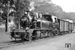 In ihrer ersten Saison auf Rügen setzt die 99 4801 im Bahnhof Sellin den Expreßgutwagen um. Mit den 1’D-Maschinen standen den Eisenbahnern die bis dahin leistungsfähigsten Lokomotiven zur Verfügung. Weiterhin für 40 km/h zugelassen, waren diese problemlos im hektischen Saisonverkehr einsetzbar. Allerdings traten bald die altbekannten Schwachstellen des Laufwerks zutage, so daß die Werkstätten wieder allerlei Konfigurationen der Laufwerke ausprobierten. Hier hat die 99 4801 noch aus der Burger Zeit ihren runden Puffer, der auf Rügen alsbald durch einen größeren Pufferteller ersetzt werden wird. Typisch für die Görlitzer „Generalreparaturen“ der 1960er Jahre war das abgeschrägte Führerhaus, das ein weites Herauslehnen des Lokpersonals erübrigte.  (23.08.1966) <i>Foto: Detlev Luckmann</i>