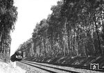 01 128 (Bw Berlin Potsdamer Gbf) fährt mit einem Schnellzug nach Magdeburg durch den Düppeler Forst zwischen Zehlendorf Mitte und Potsdam. (1937) <i>Foto: RVM</i>
