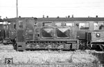 Auch ein Jahr nach ihrer Versetzung aus der Mark Brandenburg nach Rügen trug Köf 6001 noch die Aufschrift „RBD Berlin“ und ihre originalen Motorhauben. Mangels eigener Transportmittel war die Landwirtschaft bis Anfang der 1960er Jahre maßgeblich auf die Kleinbahn angewiesen, und so gab es auf den Umladegleisen in Altefähr viel zu tun. Als die HF 130 C die kleine Ns 3 ablöste, war das Aufkommen allerdings bereits stark zurückgegangen. Ein Jahr nach dieser Aufnahme kam das Ende für die Südstrecke Altefähr – Putbus sowie für den Güterverkehr Putbus – Göhren.  (20.08.1966) <i>Foto: Detlev Luckmann</i>
