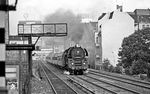 01 0502 (Bw Wittenberge) vor D 336 nach Hamburg in Berlin-Savignyplatz.  (31.07.1974) <i>Foto: Burkhard Wollny</i>