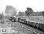 Eine DR 132 muss in Limmritz die Durchfahrt der Riesaer 58 3023 abwarten. Dieser Abschnitt der Bahnstrecke Limmritz – Waldheim ist auch als "Bankrottmeile" bekannt, da die hohen Baukosten für die Brücken im Jahr 1848 ursächlich für die Zahlungsunfähigkeit und die nachfolgende Verstaatlichung der Chemnitz-Riesaer Eisenbahn-Gesellschaft waren. (31.08.1975) <i>Foto: Joachim Claus</i>