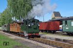Am Sonntag zeigte sich auch der Wettergott in Mügeln gnädig und präsentierte den historischen Sonderzug bei schönsten Sonnenschein. Auf den dreiachsigen Güterwagen im Hintergrund sei noch hingewiesen: Am 1. Mai 2013 trafen sich in Mügeln elf Freunde der IG Wagen, um ein Fahrzeugunikat vor einer möglichen Verschrottung zu bewahren. Es handelte sich um einen dreiachsigen gedeckten Güterwagen, dessen Existenz den meisten Freunden der Döllnitzbahn bisher völlig unbekannt war. Obwohl sich dieser Dreiachser bereits knapp 70 Jahre in Mügeln befand, war er kaum aufgefallen. Im Zweiten Weltkrieg kamen aus den besetzten Ländern Osteuropas mehrere von den dortigen Eisenbahnen stammende Fahrzeuge nach Deutschland. Von 1939 bis 1944 stand die Region als Teil des Generalgouvernements unter deutscher Verwaltung, den Eisenbahnbetrieb leitete die Ostbahndirektion Krakau. Neben zwei Dampflokomotiven gelangten vermutlich ebenfalls von der Strecke Neu Lupków – Cisna auch zwei dreiachsige gedeckte Güterwagen 1944 nach Mügeln, darunter auch der Kd1 447 (Hersteller: Danubius Budapest 1907) in Mügeln als Bahnhofswagen 1. Aufgrund seiner Spurweite von 760 mm, da er ursprünglich von der Serbischen Staatsbahnen stammte, sowie abweichenden Zug- und Stoßvorrichtungen, war er im Mügelner Netz nicht einsetzbar. Es handelt sich heute um den einzigen dreiachsigen Schmalspurwagen in Sachsen und neben dem in Hainsberg als Denkmal aufgestellten vierachsigen Wasserwagen 97-09-53 (ex Riga) ist er das einzige erhaltene schmalspurige „Fremdfahrzeug“ in Sachsen (mit Dank an Joachim Schulz und André Marks von der IG Preßnitztalbahn). (10.09.2017) <i>Foto: Andreas Höfig</i>