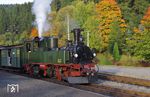 Die sächs. IV K Nr. 145 (alias 99 555) kam als Gastlok von der SOEG (im Eigentum des Interessenverbands der Zittauer Schmalspurbahnen) ins Erzgebirge und steht hier mit ihrem Sonderzug im Bahnhof Steinbach.  (30.09.2017) <i>Foto: Andreas Höfig</i>