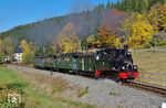 99 4511 mit einem Sonderzug nahe des Hp Forellenhof auf dem Weg nach Jöhstadt. (15.10.2017) <i>Foto: Andreas Höfig</i>