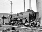 01 119 (Bw Erfurt P) im Bw Bebra. Auch nach ihrem Umbau in 01 528 war sie wieder hier anzutreffen. (04.1962) <i>Foto: Gerhard Moll</i>