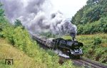 41 1025 mit dem Ucs-Silowagenzug Gag 58310 bei Wetterzeube im Elstertal. (04.09.1985) <i>Foto: Wolfgang Bügel</i>