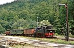 Da der Einsatz der pr. T 16.1 auf der Strecke Lauscha - Sonneberg - Eisfeld wesentlich interessanter war als die Jahrzehnte lang dort eingesetzte (und in unzähligen eigenen Bildern dokumentierte) pr. T 20, wurde sich auch maßgeblich nur um die 94 1292 mit GmP 85435 gekümmert, die hier zum Kreuzungshalt in Blechhammer wartet, während die 95er links liegen gelassen wurde. (06.09.1985) <i>Foto: Wolfgang Bügel</i>