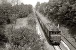 Mit dem P 1462 nach Leipzig, der Rückleistung zum D 136, unterquert die 204 023 bei Haideburg die Fernverkehrsstraße 184. (31.07.1971) <i>Foto: Hans-Joachim Simon (Archiv Ludger Kenning)</i>