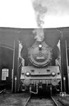 22 041 (Bw Erfurt P) im Schuppen des Bw Bebra. (05.06.1965) <i>Foto: Gerhard Moll</i>
