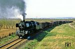 50 3556 mit Ng 66789 kurz vor Bad Suderode auf dem Weg nach Quedlinburg. (03.05.1986) <i>Foto: Slg. Wolfgang Bügel</i>