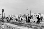 Zu den bevorzugten Zielen der alliierten Luftangriffe im Zweiten Weltkrieg gehörten die Bahnanlagen. Vom Empfangsgebäude des Bahnhofs Büchen blieb nach dem Krieg kaum mehr als eine zerfressene Fassade übrig, bei der sogar der Hamburger Direktionsfotograf mit einem hineinretuschierten Hinweis den Ortsnamen bestimmen musste. Die Aufnahme entstand von der Gleisseite der Strecke Lübeck - Lauenburg aus, wo im Sommer 1947 bereits wieder ein Zug erwartet wurde. Typischer Reisezweck des Jahres 1947 waren sogenannte Hamsterfahrten, mit denen viele Menschen aus der Stadt versuchten, wegen der schlechten Versorgungslage bei Bauern Sachwerte gegen Lebensmittel einzutauschen. (1947) <i>Foto: Walter Hollnagel</i>