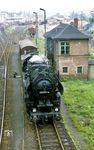 Rangierarbeiten am Ng 65221 mit der Bautzener 52 8189 im Bahnhof Ebersbach/Sachsen. (11.07.1986) <i>Foto: Wolfgang Bügel</i>