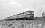 Ein S-Bahnzug nach Wannsee in Berlin-Grunewald. (03.06.1972) <i>Foto: Burkhard Wollny</i>