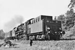 Auch ein schöner Rücken kann entzücken... Die Dresdener 50 694 mit einem aus Länderbahnwagen gebildeten Personenzug bei Dresden-Klotzsche. (22.06.1966) <i>Foto: Will A. Reed</i>