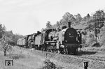 38 2255 leistet einer unbekannten 22 Vorspann bei Dresden-Klotzsche. (22.06.1966) <i>Foto: Will A. Reed</i>