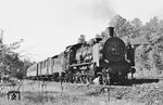 38 1510 (LHW Breslau, Baujahr 1913) gehörte zum Bestand des Bw Dresden-Altstadt als sie mit einem Personenzug bei Dresden-Klotzsche um die Kurve bog. (22.06.1966) <i>Foto: Will A. Reed</i>