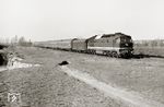 DR 132 040 (Bw Falkenberg) röhrt mit dem "Pannonia-Express" D 371 bei Großenhain vorbei, damals eigentlich noch eine 01-Planleistung. (21.03.1975) <i>Foto: Hans-Joachim Simon (Archiv Ludger Kenning)</i>
