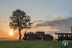 Am 5. Juni 1993 gründeten 17 Eisenbahnfreunde in Lindenberg den heutigen Kleinbahnverein. Aus diesem Anlass präsentierte der Verein im Mai 2018 gleich drei Dampflokomotiven verschiedener Bauarten. (Gast-)Lok 20 der Mansfelder Bergwerksbahn wurde als 99 1401 beschildert. (09.05.2018) <i>Foto: Joachim Schmidt</i>