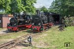 Im Bw Mesendorf warten 99 1401 (ex Lok 20 der Mansfelder Bergwerksbahn) und 99 4511 der Preßnitztalbahn auf ihre nächsten Einsätze. (11.05.2018) <i>Foto: Joachim Schmidt</i>