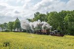 Güterzugtag beim „Pollo“: Die „99 1401“ mit dem Gmp 8023 morgens am Tüchener Weg. Am Haken hat sie die Rollwagen 97-09-13 und 97-06-07, den Stangenwagen 97-55-16, den Gepäckwagen 975-312, die Personenwagen 970-864 und -851 sowie den Milchkühlwagen 97-52-73. Den Spitznamen „Pollo“ hatte das Prignitzer Schmalspurnetz schon in der Frühzeit erhalten. Einst soll ein Hund namens „Pollo“ des Dannenwalder Försters den vorbeifahrenden Zug angebellt und ihm nachgelaufen sein. Der Förster rief seinen Hund zurück, aber die Leute dachten, daß mit dem Ruf „Pollo“ der Zug gemeint sei. Damit hatte die Bahn ihren Namen weg. Noch heute kommt die Verbundenheit mit der Kleinbahn alljährlich z.B. dann zum Ausdruck, wenn zum Karneval mit einem dreifachen „Pollo, Helau!“ die fünfte Jahreszeit eingeläutet wird.  (11.05.2018) <i>Foto: Joachim Schmidt</i>