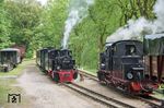 Zugkreuzung zwischen den Fotozügen mit "99 1401" und 99 4652 des Fördervereins zur Erhaltung der Rügenschen Kleinbahnen. (11.05.2018) <i>Foto: Joachim Schmidt</i>