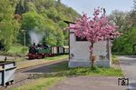 Frühling im Brohltal: 11sm fährt mit GmP 901 aus Brohl in Burgbrohl ein. (21.04.2018) <i>Foto: Zeno Pillmann</i>