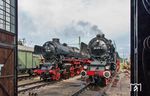Seit 2011 befand sich 01 1100 in der Obhut der Dampf­lok­tra­di­tion Ober­hausen (DTO). Eine Hauptuntersuchung der Lokomotive war bereits in der heimischen Lokwerkstatt in Oberhausen-Osterfeld angelaufen. Die komplizierte Beschaffung von Ersatzteilen führte jedoch immer wieder zu Verzögerungen, da es die Teile nicht mehr von der Stange gibt und kostenintensiv von Fachfirmen angefertigt werden mussten. Die Insolvenz von DTO im Jahr 2016 ließ schließlich alle Träume platzen. Mittlerweile wurde von der DB beschlossen, die Lok ins DB-Museum nach Koblenz-Lützel zu überführen und sie dort abzustellen. Eine Wiederinbetriebnahme ist nicht mehr vorgesehen. Im Sommer 2011 war die bei der niederländischen SSN beheimatete 01 1075 in Oberhausen zu Gast. (28.08.2011) <i>Foto: Joachim Schmidt</i>