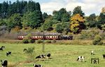 99 5906 mit P 14464 nach Harzgerode bei Straßberg. Die Selke markierte hier einst die Grenze zwischen Preußen und Anhalt.  (19.09.1986) <i>Foto: Wolfgang Bügel</i>