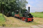 1894 an die Franzburger Kreisbahnen geliefert, reihte sie die Deutsche Reichsbahn im Jahr 1950 als 99 5605 ein. Am 10. April 1968 wurde sie beim Bw Barth ausgemustert. 1973 an den Freizeitpark Minidomm in Breitscheid bei Düsseldorf verkauft, kam sie am 4. Januar 1980 nicht betriebsfähig zum DEV und erhielt dort den Namen "FRANZBURG". Am 19. Juni 1982 wurde sie in Bruchhausen-Vilsen wieder in Dienst gestellt. Hier präsentiert sie sich auf der 50-jährigen Jubiläumsveranstaltung des DEV. (29.07.2016) <i>Foto: Burkhard Walbersloh</i>
