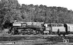 Planmäßig um 17.46 Uhr ist die Wittenberger 01 0527 mit D 1333 aus Hamburg in Berlin-Wannsee eingetroffen. (07.1976) <i>Foto: Burkhard Wollny</i>