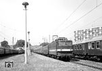242 049 (Bw Leipzig Hbf West) mit P 5623 nach Espenhain in Leipzig Bayer Bf. (18.08.1981) <i>Foto: Hans-Joachim Simon (Archiv Ludger Kenning)</i>