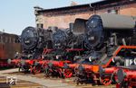 Lokparade im Sächsischen Eisenbahn-Museum Chemnitz-Hilbersdorf mit 44 1338, 86 001 und 43 001, die alle zum Museumbestand gehören. (19.08.2018) <i>Foto: Andreas Höfig</i>